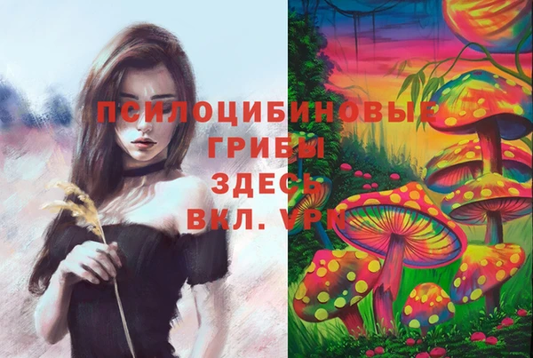 гидра Балахна